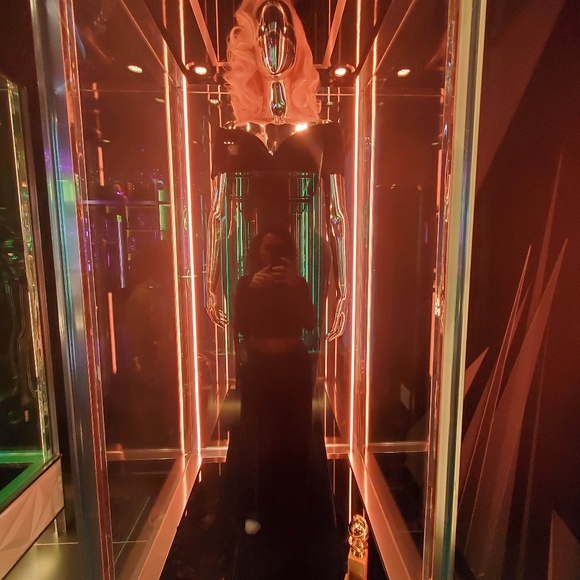 Meet your Posher, Elle - Picture 11 of 11